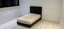 Blk 538 Hougang Street 52 (Hougang), HDB Executive #557161131